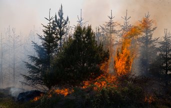 A new generation of wildfires characterized by extreme behavior