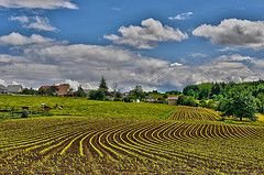 Adaptation potential of European agriculture in response to climate change