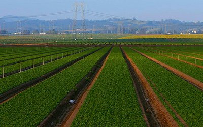 Poleward shifts crop pests and pathogens