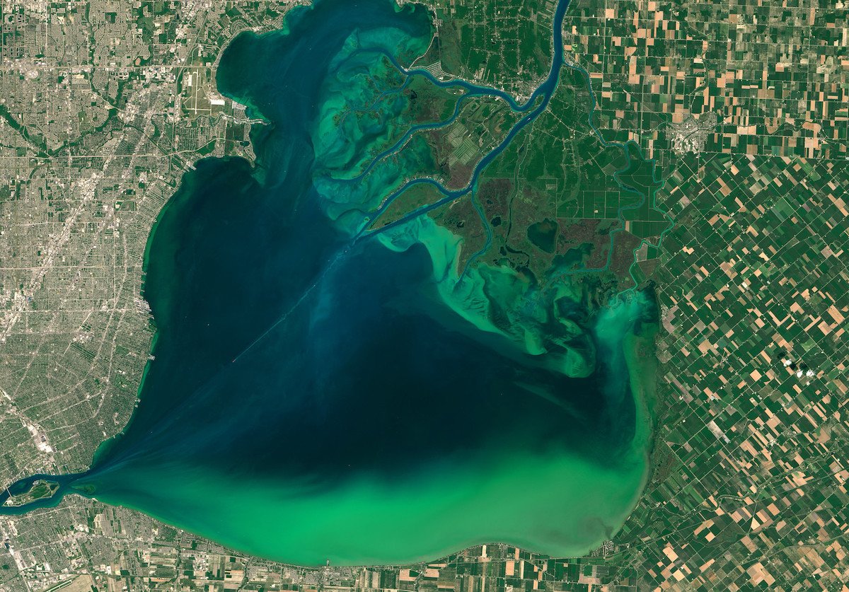 Phytoplankton blooms on lakes are increasing since the 1980s
