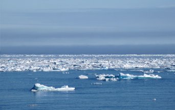 Arctic sea ice