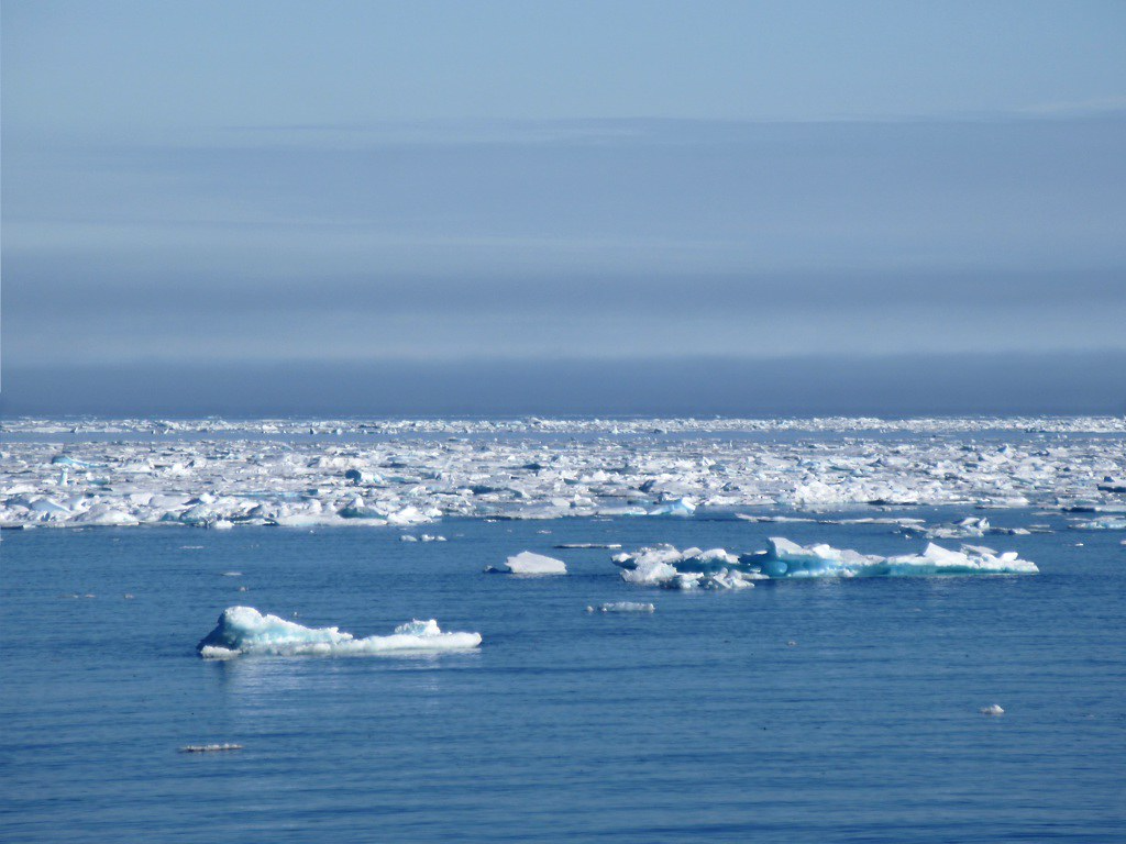 Arctic sea ice