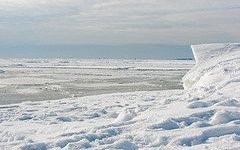 Sea-ice changes in the Gulf of Finland