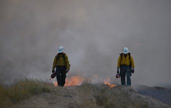 Controlled burning