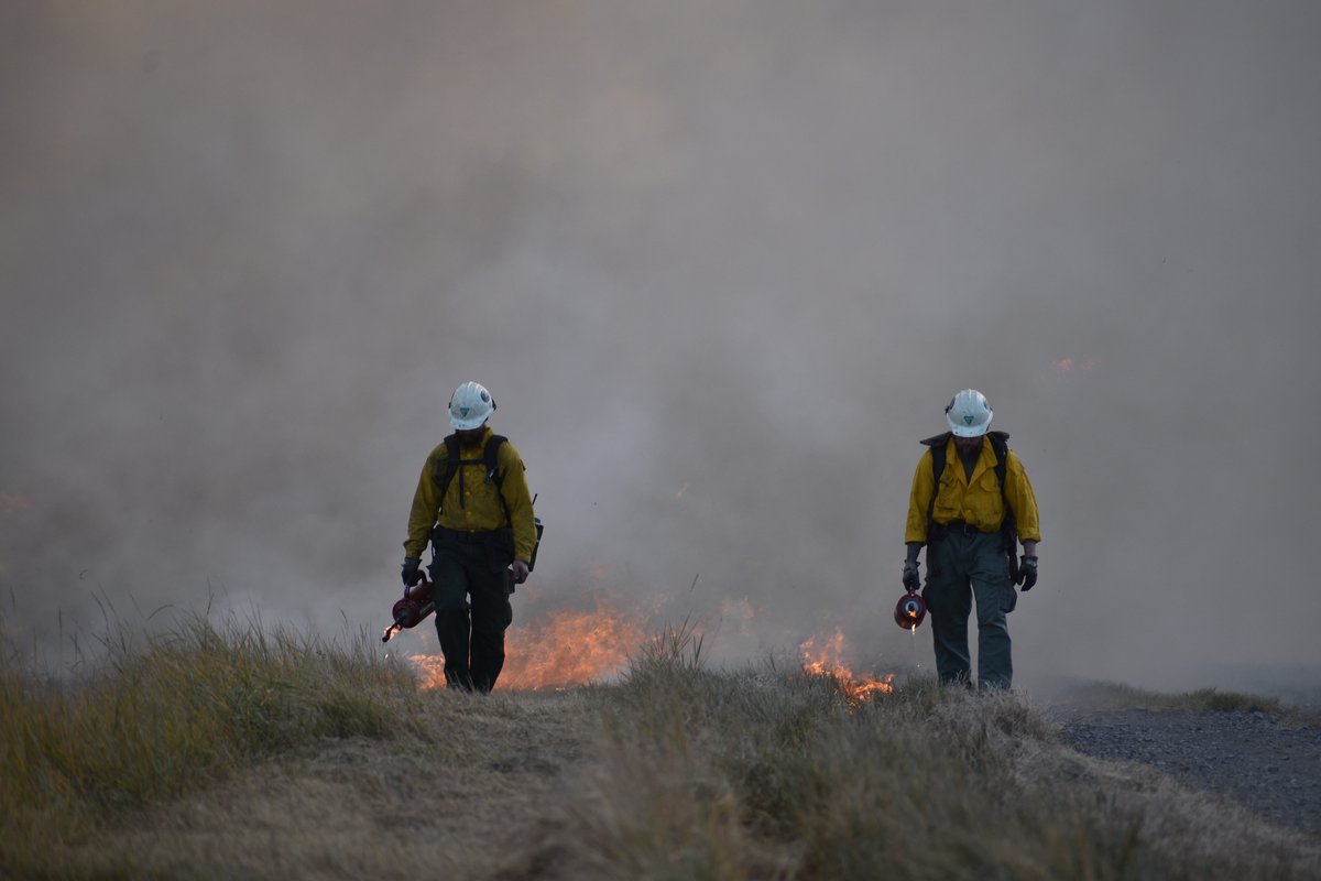 Controlled burning