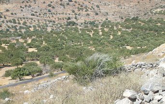 Impact of climate change on water resources Crete (Greece)