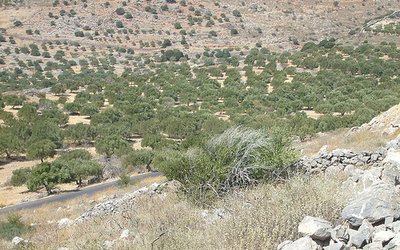 The impact of climate change on droughts at a basin scale on Crete