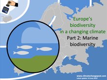 Biodiversity Part 2: Marine