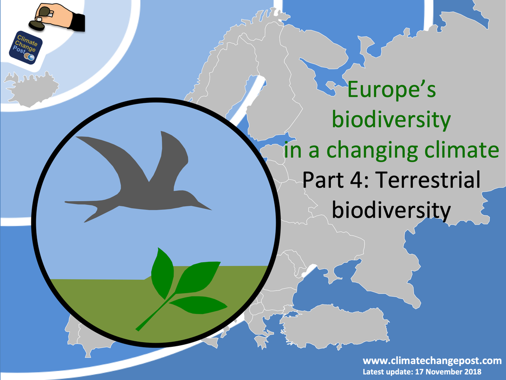 Biodiversity Part 4: terrestrial