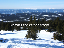 Forestry Part 3: Biomass