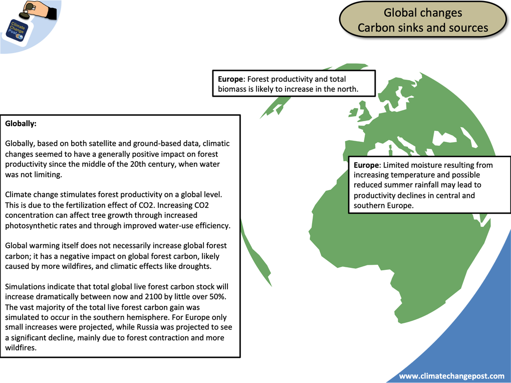 Forestry Part 3: Biomass