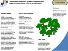 Forestry Part 1: Overview