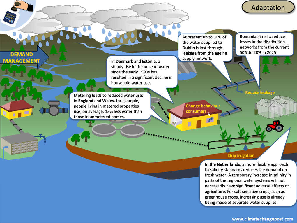 Fresh water Part 3: Adaptation