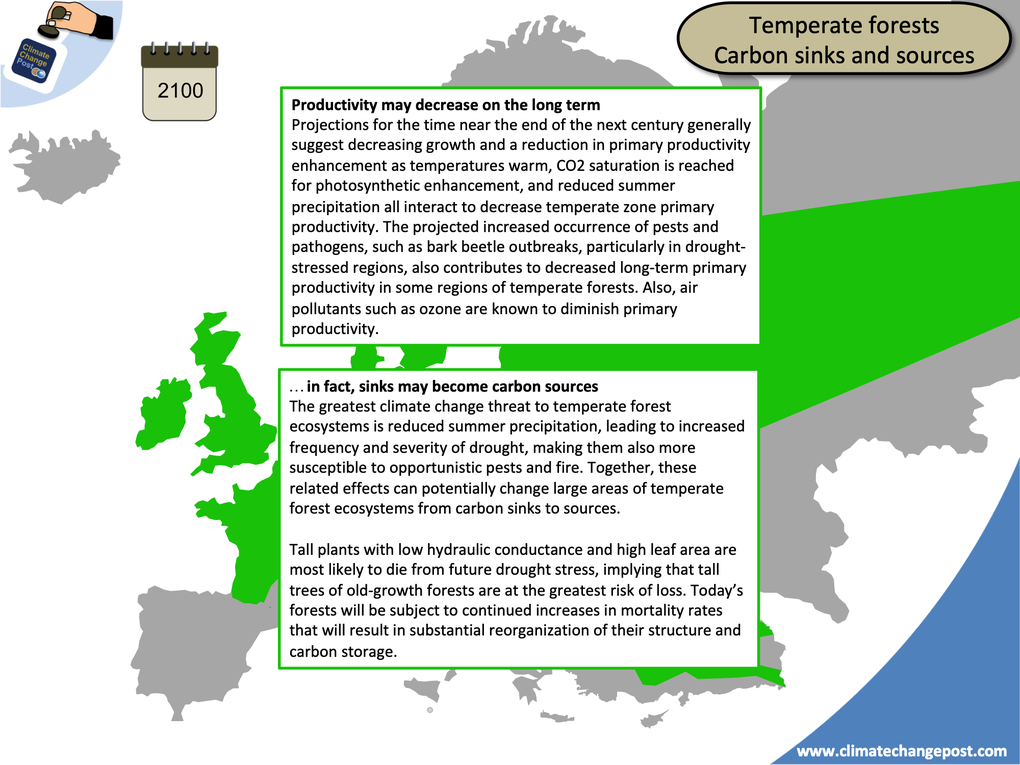 Forestry Part 3: Biomass