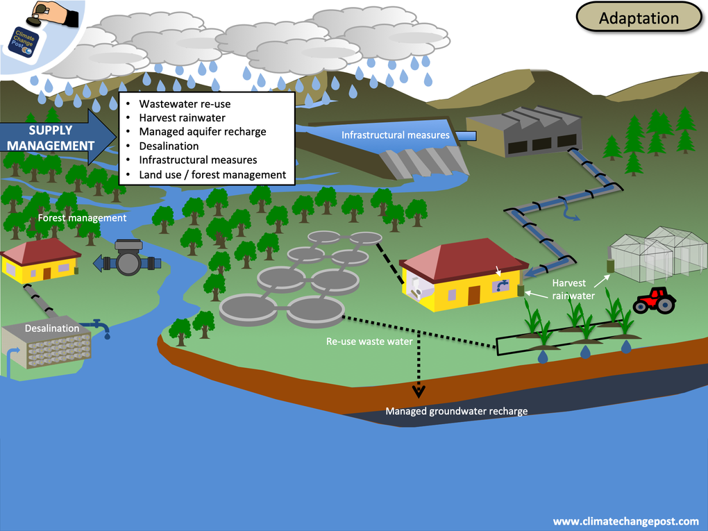 Fresh water Part 3: Adaptation