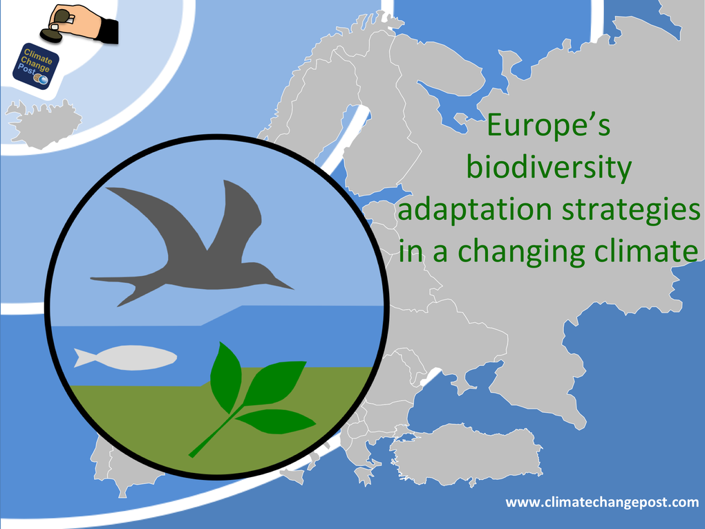 Biodiversity Part 1: Overview