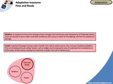 Agriculture Part 4 Adaptation