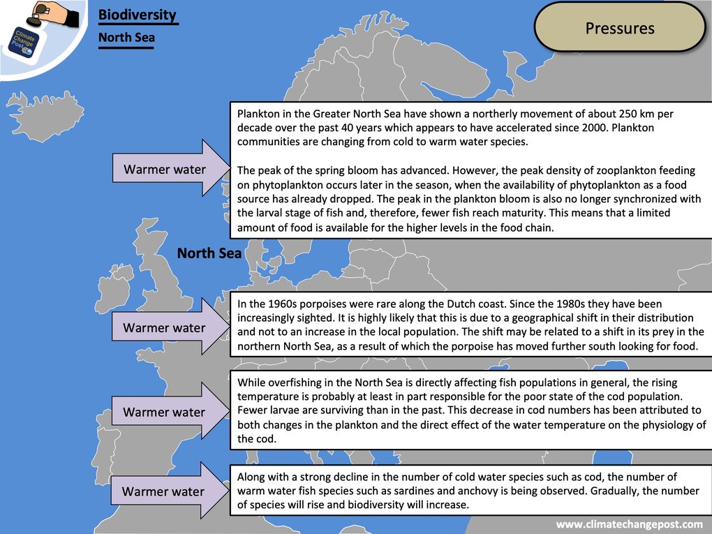 Biodiversity Part 2: Marine