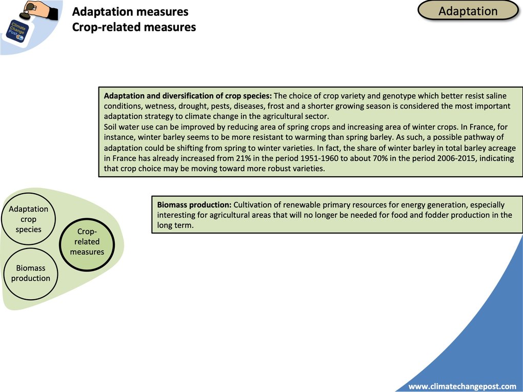 Agriculture Part 4 Adaptation