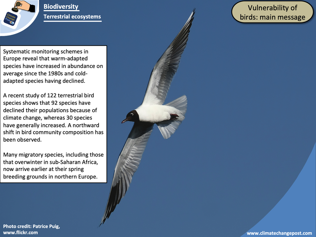 Biodiversity Part 4: terrestrial