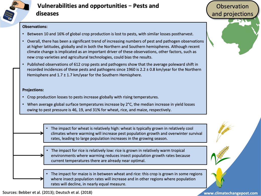 Agriculture Part 1 Global