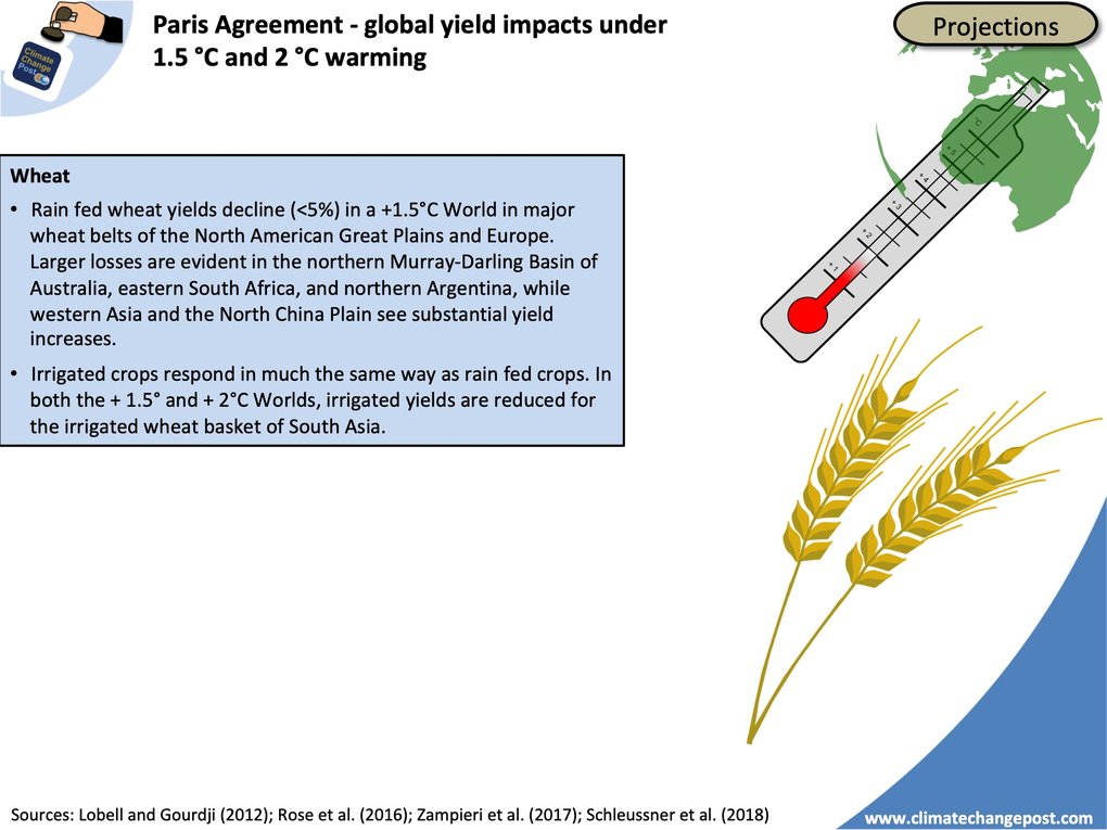 Agriculture Part 1 Global