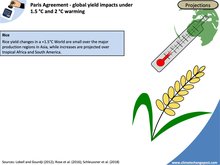 Agriculture Part 1 Global