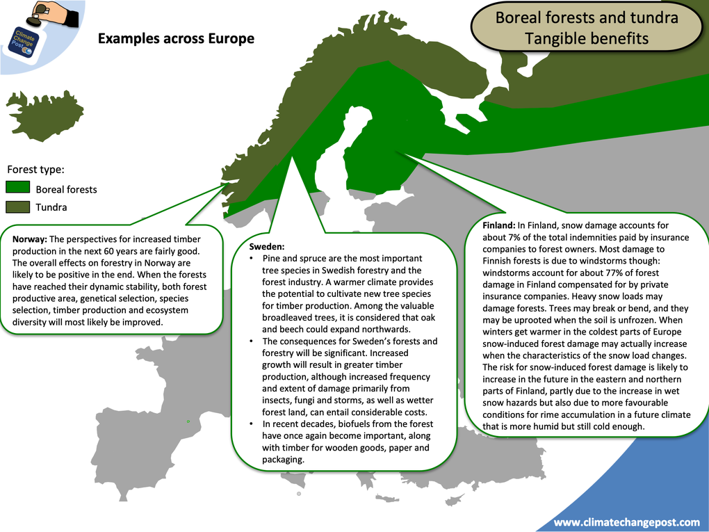 Forestry Part 3: Biomass