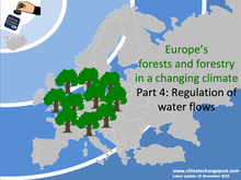 Forestry Part 4: Water flows