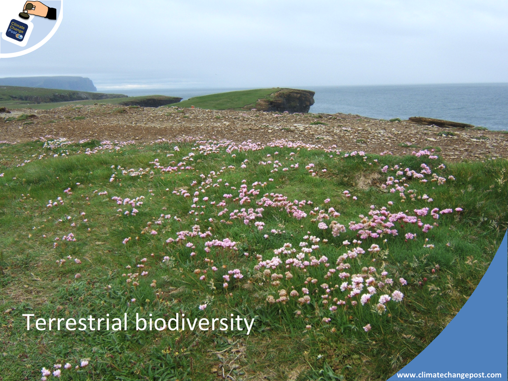 Biodiversity