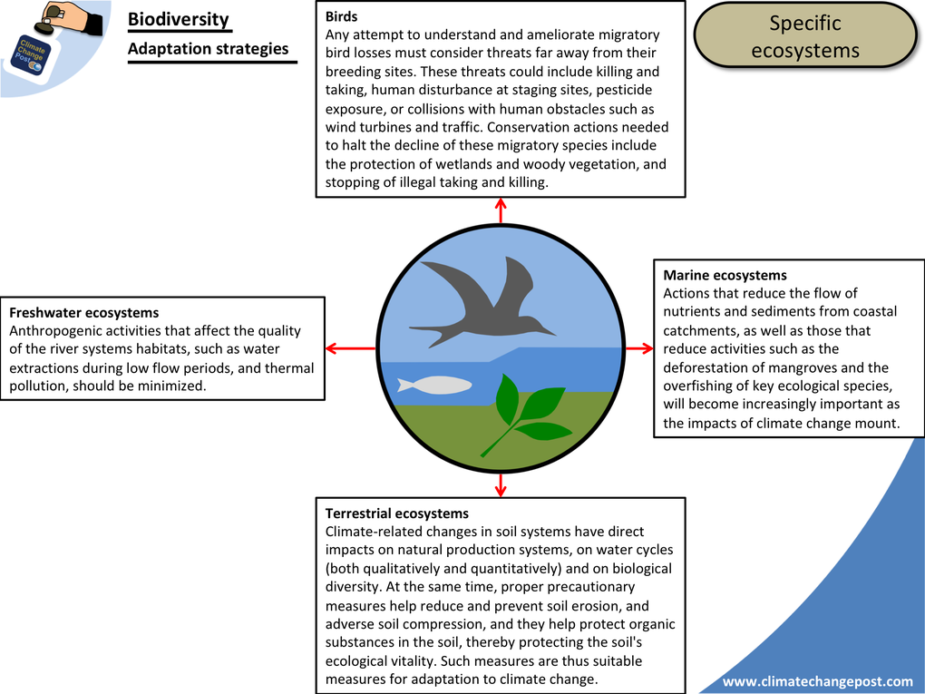 Biodiversity