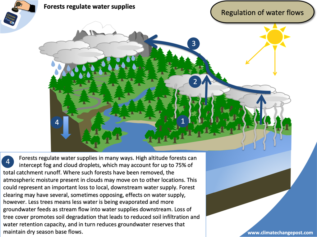 Forestry Part 4: Water flows