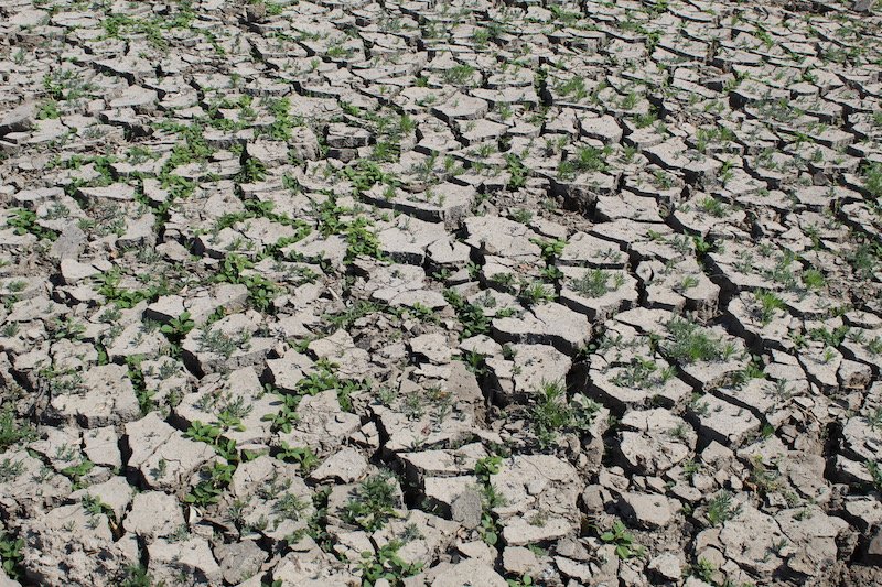 Droughts in the soil increase much less than droughts at the earth surface