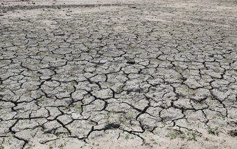 Drought Europe