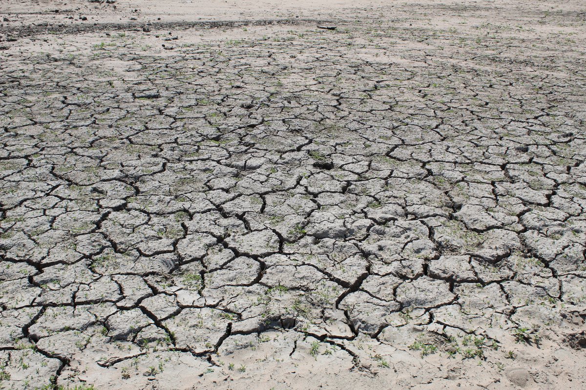 Drought Europe