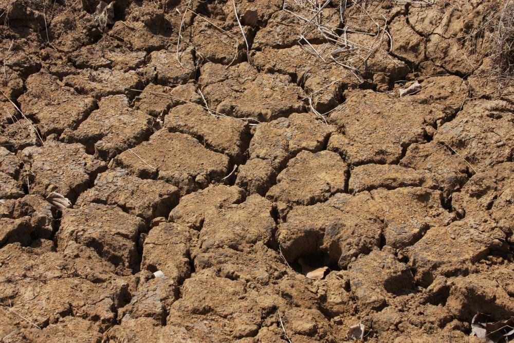 Drought length, intensity and timing in Southern France