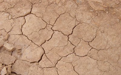 Desertification in Mediterranean will extend northwards to areas currently not at risk