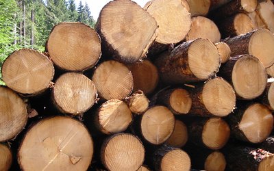 Europe's timber industry
