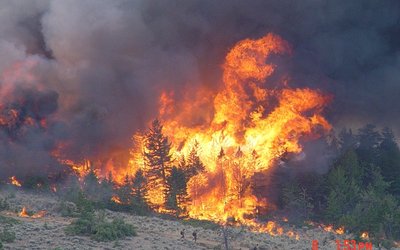 Experts call for different approach to wildfire management in Mediterranean-type regions