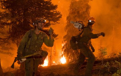 Forest fires and adaptation options in Europe