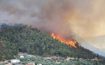 Managing forests and fire in changing climates