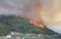Severe wildfires in southern Greece due to increasing extremes of heat and drought 