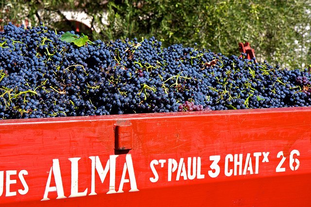 French and Swiss wine grape harvest dates 10 days earlier today than in previous 400 years