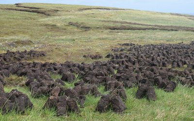 For peat’s sake! Scotland restores its peatlands to keep carbon locked up