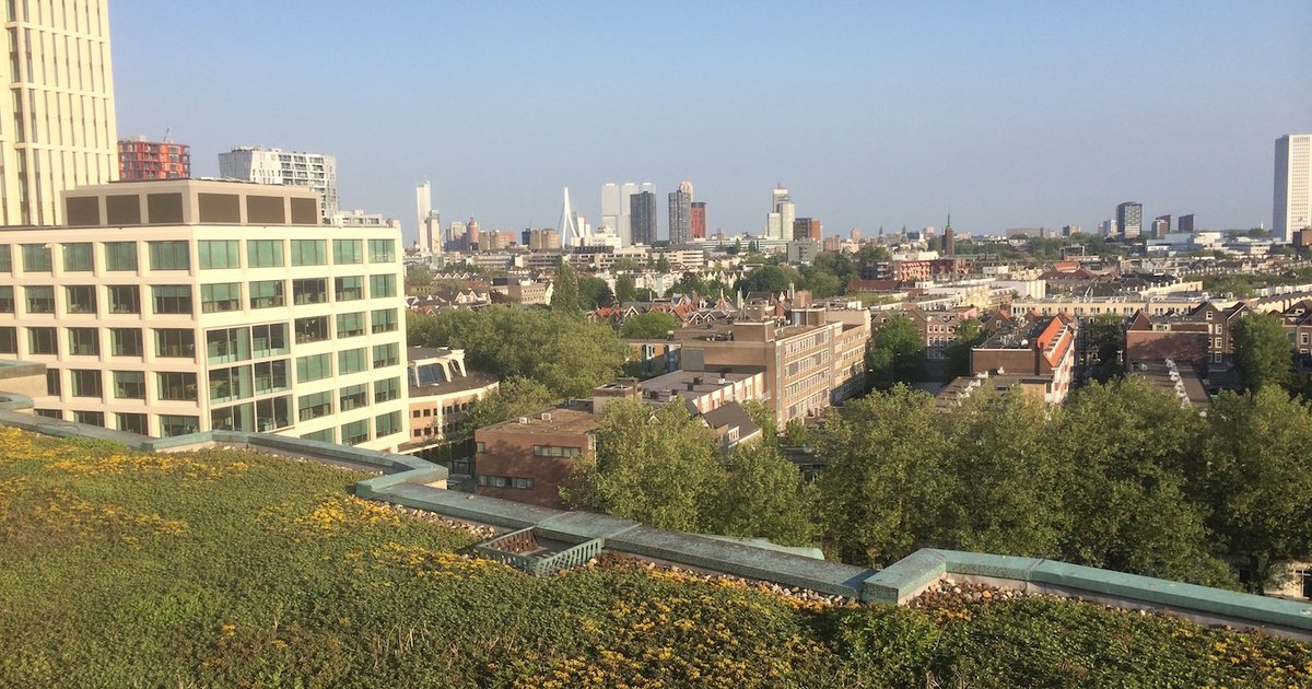 Do green roofs mitigate stormwater runoff in urban areas ...