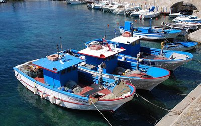 Climate effect on Mediterranean fisheries