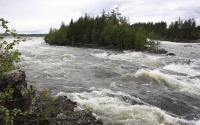 No climate change impact on river discharge in Sweden