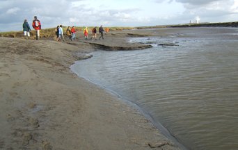 The future of our coastal wetlands may not be that dramatic