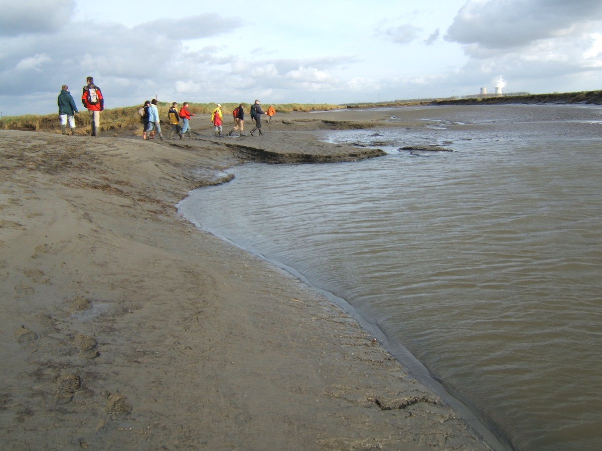 The future of our coastal wetlands may not be that dramatic