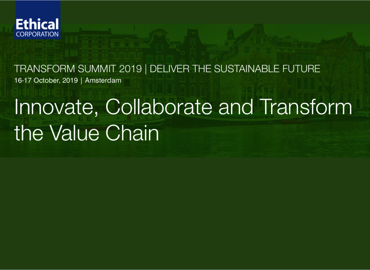 Businesses on their journey to sustainability: Notes from Transform 2019